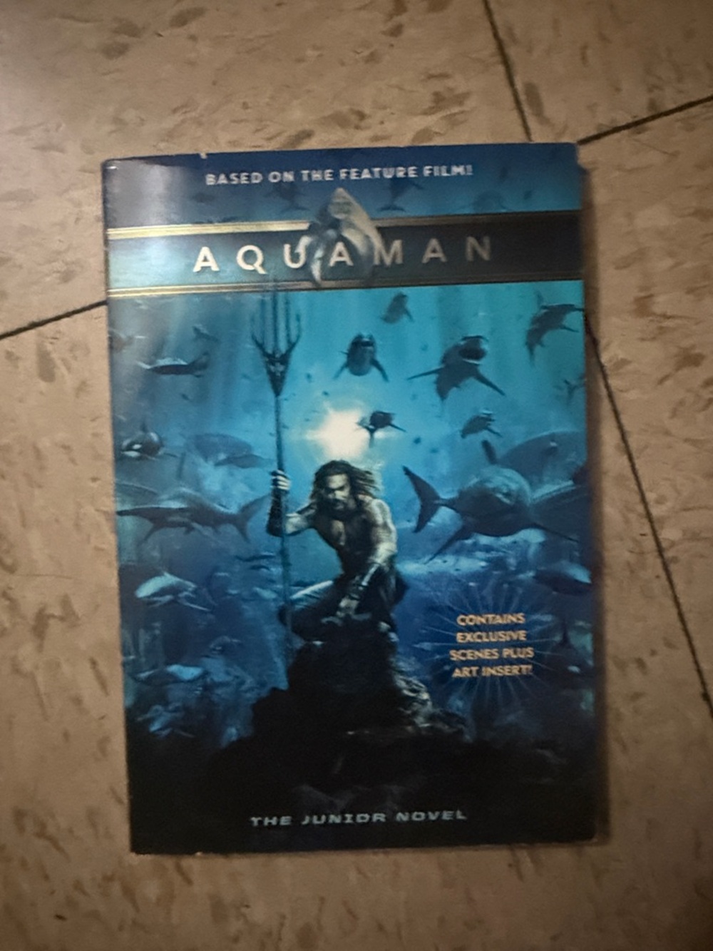 Aquaman Junior Novel